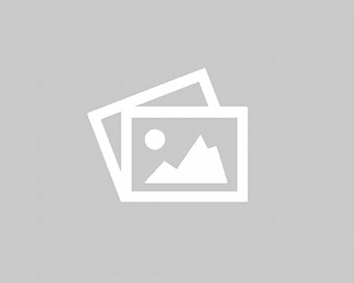 Curso Conceitos fundamentais da psicossomática psicanalítica